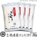 【新潟米 令和5年産】新潟西蒲原 弥彦産コシヒカリ 弥彌彦様の米 白米 20kg (5kg×4袋) 厳選産地米 こしひかり ギフト 米 手土産 贈答 ..