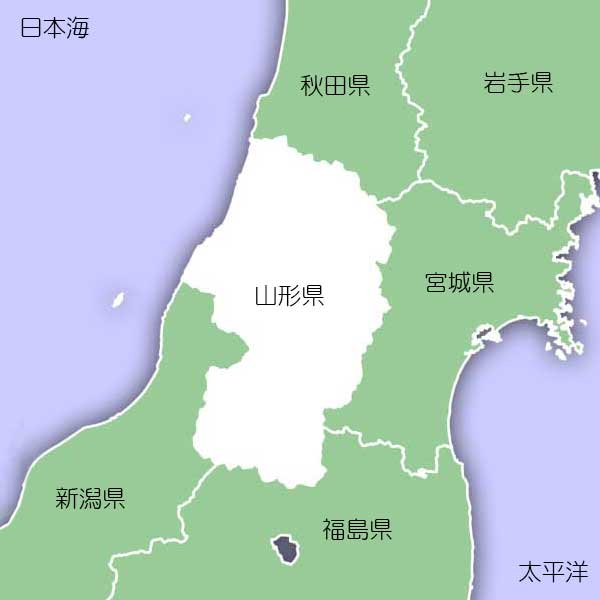 【山形米 令和3年産】無洗米 山形県産 つや姫 10kg (5kg×2) ピロータイプ平袋入 日本全国銘米シリーズ tsuyahime yamagata