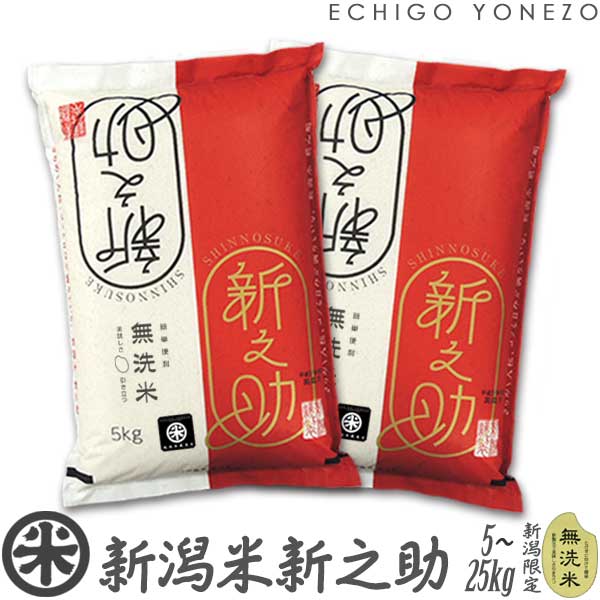 【新米 令和7年産】無