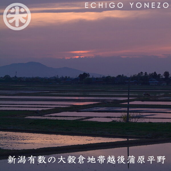 [新潟米01 新潟東蒲原] 新潟産コシヒカリ 有機栽培米 [JAS認証] 白米 25kg (5kg×5袋) プレミアム オーガニック 無農薬 こしひかり ギフト 希少米 マクロビ 贈答 御礼 内祝 御中元 御歳暮gift kome niigata koshihikari