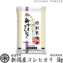 【新潟米 令和5年産】新潟産コシヒ