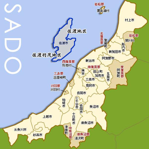 【新潟米 令和5年産】佐渡産コシヒカリ 特別栽培米 【朱鷺と暮らす郷づくり認証米】白米 10kg (5kg×2袋) 契約栽培 こしひかり ギフト 米 おもたせ 贈答 内祝 御祝 御中元 御歳暮 gift kome sado koshihikari 3