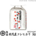 【新潟米 令和5年産】佐渡 羽茂産コシヒカリ 佐渡の幻米 白米 5kg (5kg×1袋) 特選限定米 こしひかり ギフト 米 特A 手土産 おもたせ 贈答 内祝 御祝 御中元 御歳暮 gift kome niigata sado koshihikari