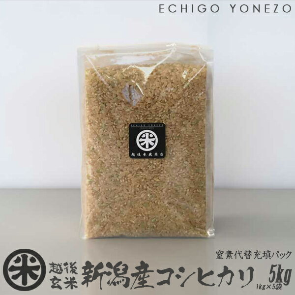 yV ߘa5NYzVYRVqJ  f֏[UpbN 5kg (1kg~5) OVFtCtpbN IV z㊗ Ђ  long shelf life paking gift kome niigata koshihikari japonica rice