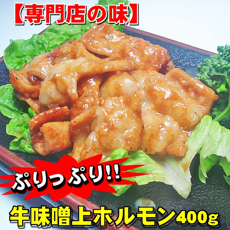 【専門店秘伝の味】肉の日限定商品！激旨☆牛味噌上ホルモン400gのサムネイル