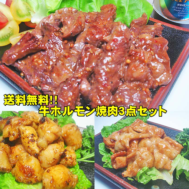 【送料無料】豪華！牛ホルモン焼肉3点セット　バーベキュー　BBQ父の日　ホルモン　ギフト　プレゼント　贈り物　おくりもの