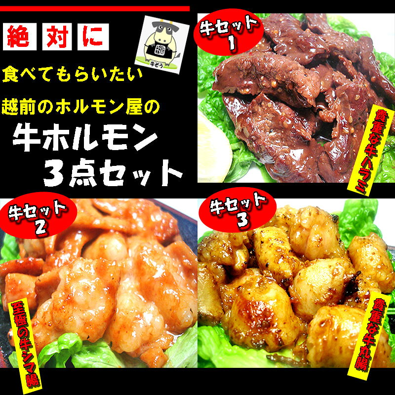 【送料無料】豪華！牛ホルモン焼肉3点セット　バーベキュー　BBQ父の日　ホルモン...