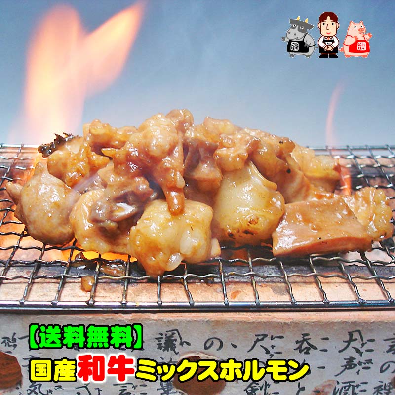 【送料無料】厳選和牛ミックスホルモン　500g　焼肉・モツ鍋に！【B級グルメ】【smtb-T】 【バーベキュー】【焼肉】【肉の日】【父の日】【お中元】【お歳暮】【RCP】