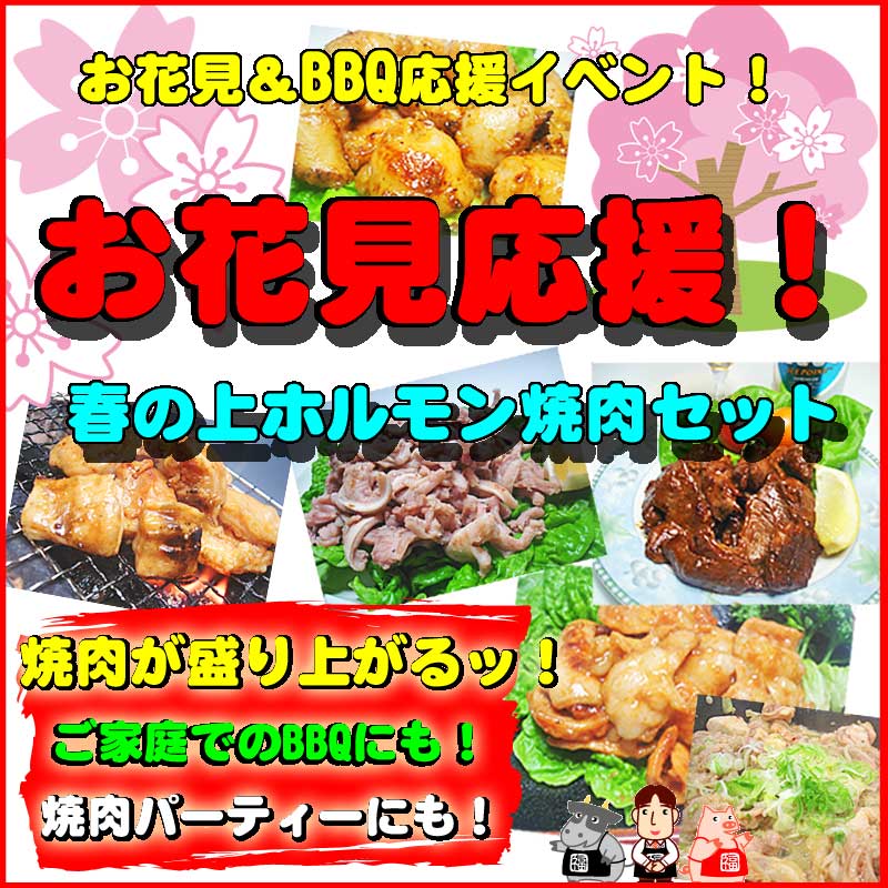 【送料無料】お花見応援！秘伝の味！春の上ホルモン焼肉セット