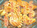 華咲き上牛ミノ　300g　焼肉に！【B級グルメ】 【バーベキュー】【焼肉】【肉の日】【父の日】【お中元】【お歳暮】【RCP】 3