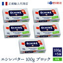 【100円OFF★LINEクーポンで】 即日配送可 エシレバター 100g ブロック ( 有塩 ×5 ) エシレ 公式 フランス伝統の発酵バター echire ...