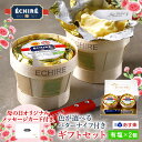 【送料無料】 バター エシレバター 有塩100g×5個セット 1個当たり1100円！ 最安値 フランスAOP伝統エシレバター まとめ買い Echire AOP 冷蔵空輸品（お中元 ギフト パリから直送だからお得！）