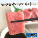 地中海産本マグロ 中トロ刺身（10切／約100g）【　本まぐろ　鮪　刺身　】