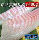 活〆真鯛サク(約400g)(2~3人前)【 刺身柵 お刺身 セット 】