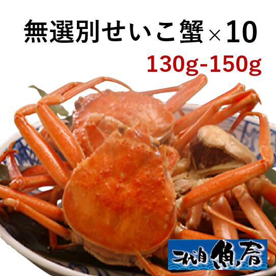 無選別せいこ蟹130g～150g × 10杯【　越前ガニ　せいこがに　】