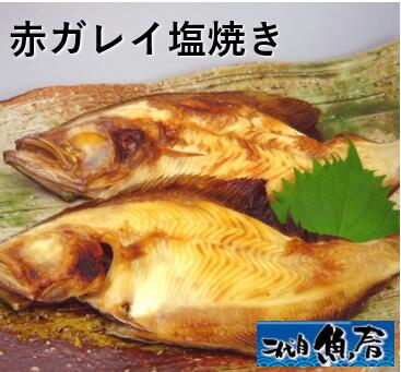 赤ガレイの塩焼き（2尾）