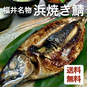 福井名物 浜焼き鯖【 鯖 プレゼント 贈答 贈り物 ギフト バレンタイン 焼き鯖 】