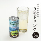 梅ドリンク 6本入り クエン酸 さっぱりした甘み ジュース 炭酸割でも アルコールと混ぜても 三方五湖 缶 景品 詰め合わせ 国産 福井県