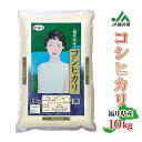 【令和5年度産】 お米 福井県産 こしひかり 10kg ※離島への発送不可 美人画 福井県 米 おこめ コメ 白米 精米 国産