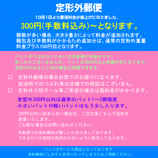 【OUTLET】レモンパット　押し上げ用バストパット　水着用 もる パット 上げ底 スイムカップ スイムパット 大きいサイズ 縫える フィットネス スイミング リゾート ビキニ