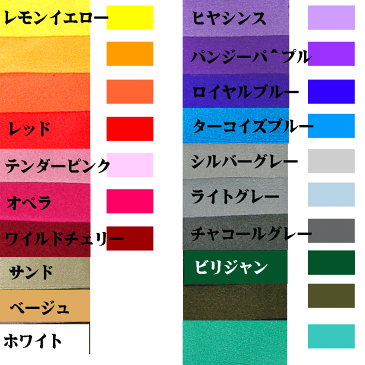 [スポーツ用]スパッツ（ショートパンツタイプ）90/100 丈夫で収縮性が良い 体操 新体操 タイツ 子供 ジュニア フィットネス バレエ キッズ ダンス サッカー 一輪車 水着 レスリング 陸上 スイミング 赤 青 緑 黄 黒 ピンク ブルー イエロー ブラック 幼児 園児