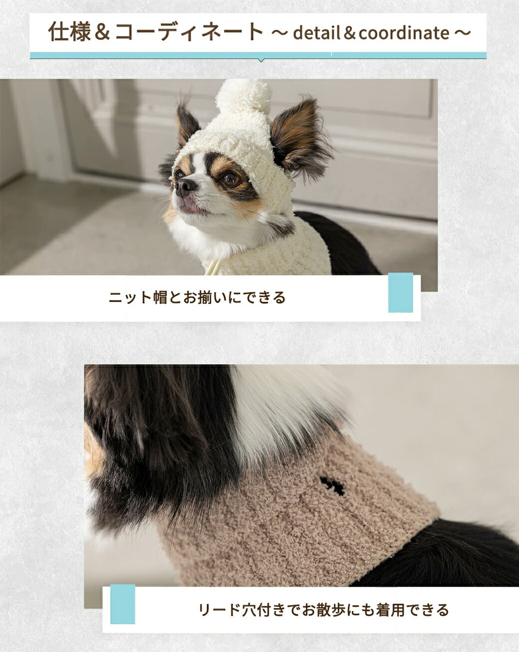 マシュマロスヌード S/M/L Solgra-ソルグラ- 犬用 SO25AW 3