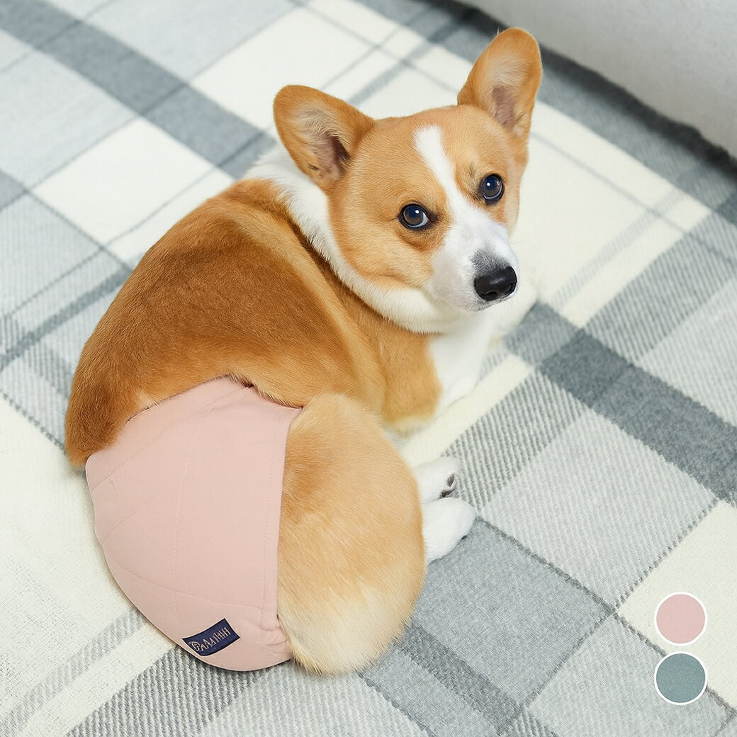 idog iDog UNAGE SPA アンエイジスパ 腹巻き アイドッグ