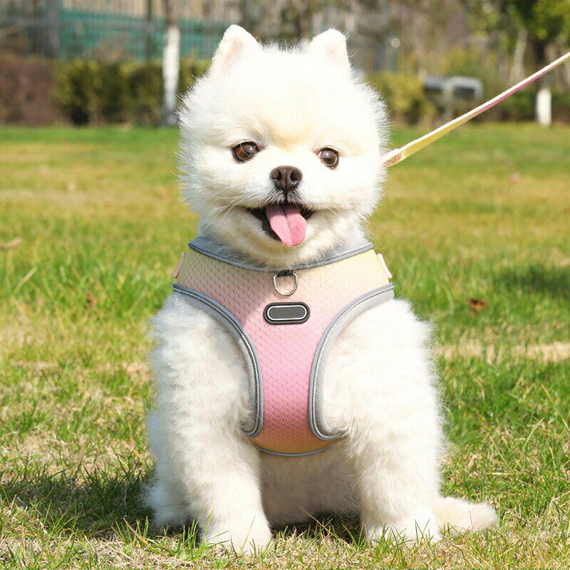 セール品 ◆送料無料◆カラフルハーネス ソフト シンプル カラフルーネス 小型犬 胴...