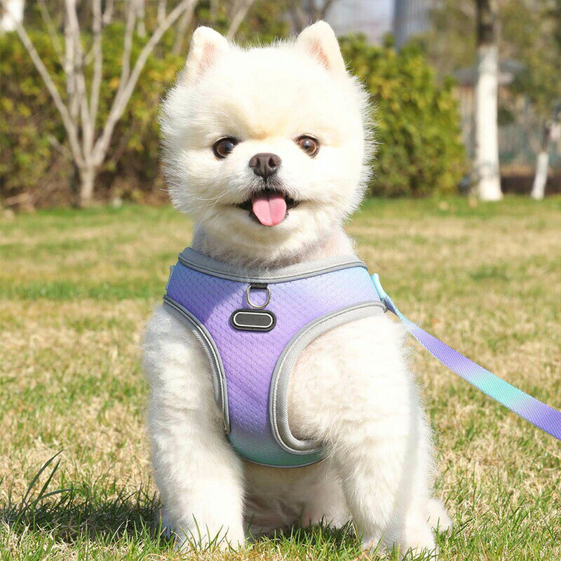 セール品 ◆送料無料◆カラフルハーネス ソフト シンプル カラフルーネス 小型犬 胴...