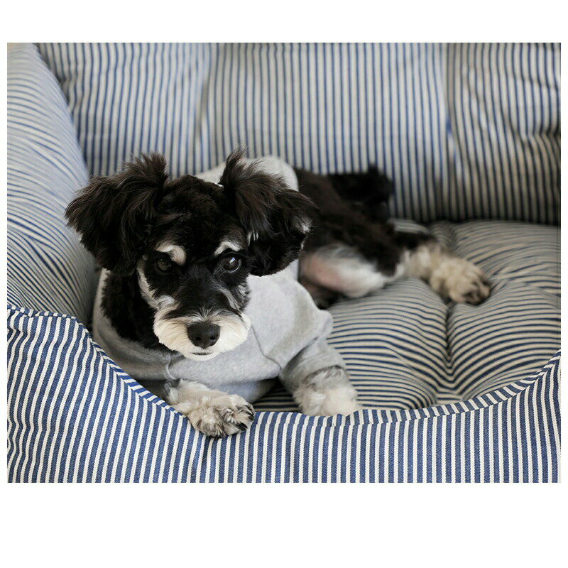 �������� ������̵�����ڥå� ���ե��� �ɥ饤�֥٥å� �� �ɥ饤�� �٥å� �����٥å� �� ���� �ڥåȥ٥å� �ڥåȥ��ե� ���� ���� �ɥ饤������ �ڥå����� ι�� ���Ф���