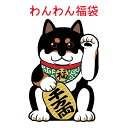 数量限定◆送料無料◆2025 福袋 ワンちゃんハッピーバッグ サイズ選べる 春夏秋冬 オールシーズン