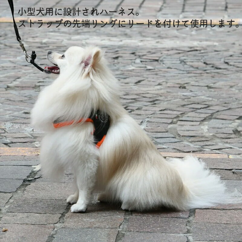 TRE PONTI �ȥ�ݥ�ƥ� ��٥륿 ���եȥ�å��� LTP103 �����ꥢ �����ɥ��å� ������Ĵ�� ���� ������ ǭ ������