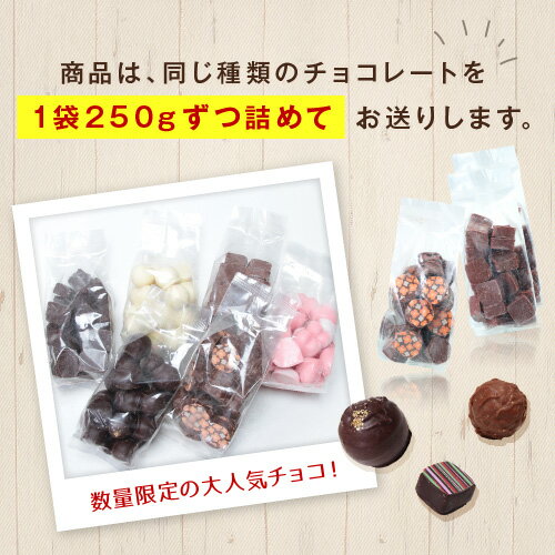 アウトレットチョコ（250g）/【訳あり】【5袋以上送料無料】【人気急上昇中!!!】