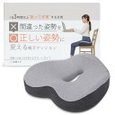 改善ラボ 1日3時間以上座って作業する方用 間違った姿勢を正しい姿勢に変える椅子クッションとスタートガイドのセット 間違った座り方を正しくする椅子クッション 1...