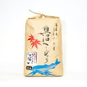 【大沢米：天日干しはさ掛け米】南魚沼産コシヒカリ　玄米5kg
