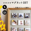 送料無料 簡単 写真プリント無料 フォト マグネット ボード付き 敬老の日 花以外 子供 孫 写真 写真入り プレゼント ギフト 内祝い 誕生日 記念日 祝い サプライズ 卒園 七五三 孫から