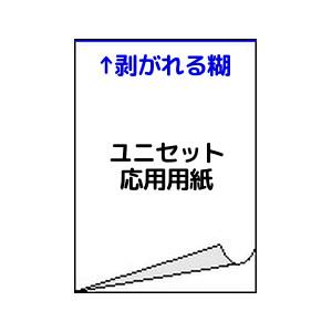 トヨシコー 汎用複写単票『ユニセット応用用紙』 N40ブラック発色 2P (2枚複写) (サイズ:A4 数量:1.000組/1ケース)