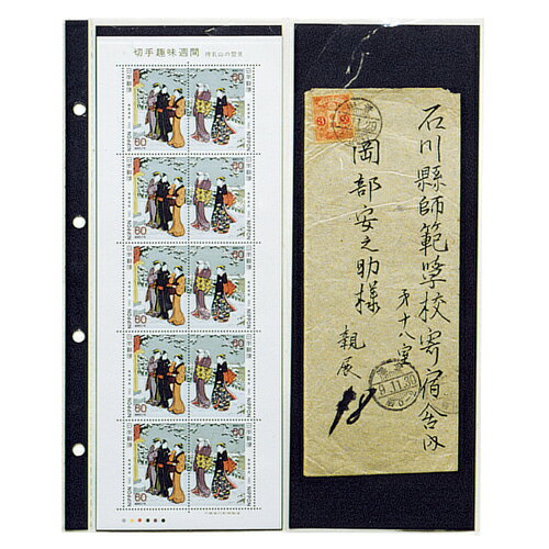 テージー コレクションスペア縦2列 (CA-321S)