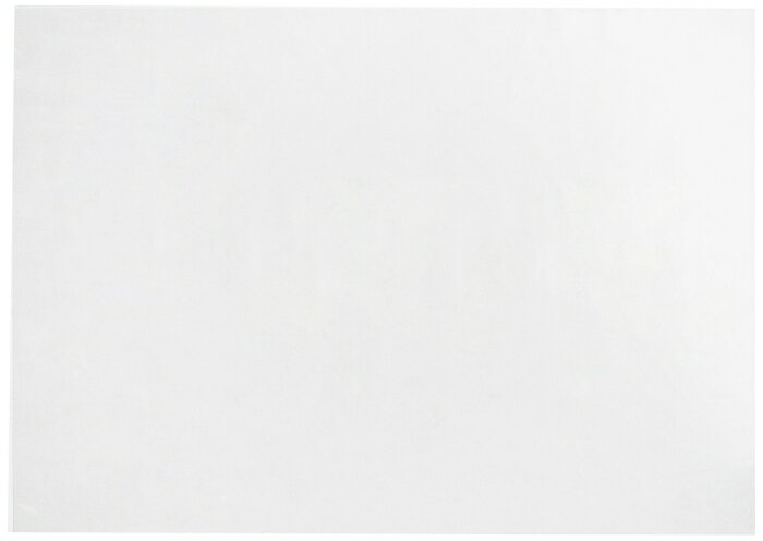 쥯 Ʃݥå A1+10ߥ(CF-110R)ñ:ġ