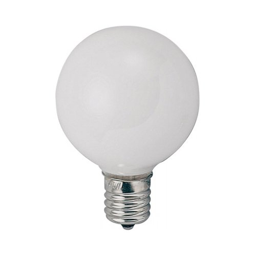 YAZAWA 䥶 YAZAWA٥ӡܡ G50 E17 5W ۥ磻G501705W(G501705W)