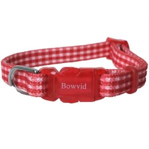 ���饤�� [���͹�˼] �ȥ��åȥ��顼 ���󥬥� �� (-)