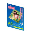 ナカバヤシ LPR-A4E2-SP