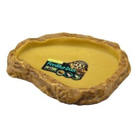 GEX(ジェックス) フィーディングディッシュ S EXO-TERRA 【餌入れ・給水器/爬虫類用/両生類用/飼育用品】