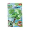 GEX(ジェックス) メダカの産卵草 ホテイアオイ 【陶器製/アクセサリー/アクアリウム用品】