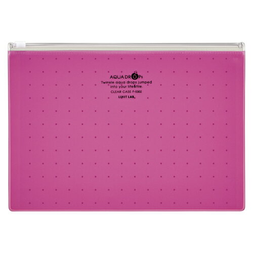 LIHIT LAB クリヤーケース M(A5)赤(F-5302-3)
