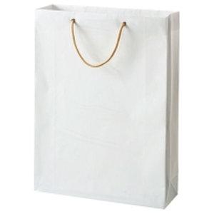 大塚商会 TANOSEE ビニールカバー付手提袋 白無地 L 10枚入(TMBC-L)