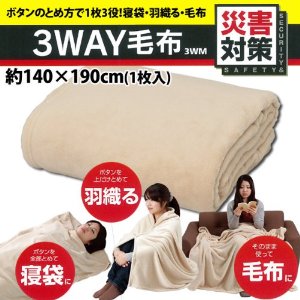 IRISOHYAMA ꥹ 3WAY 3WM(3WM)