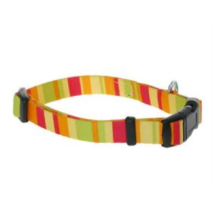 ��������� �쥤��ܡ����顼 #10 ����� (ǭ��Ķ������)