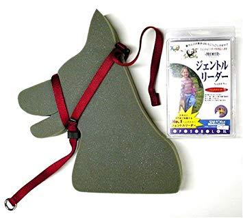 �������ե����२�󥸥˥���� ������ȥ�꡼���������ƥ� ��S