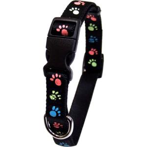 ��������� �߸��եåȥ��顼 #10 �� (ǭ��Ķ������)